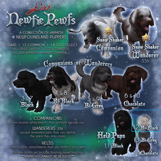 JIAN Newfie Pewfs 12. Bi-Black Held BOX
