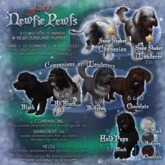 JIAN Newfie Pewfs 14. Chocolate Held BOX - Epiph