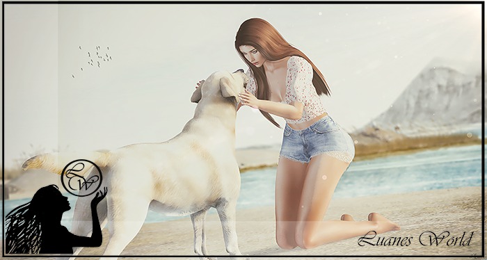 :LW: Bento Poses - Used To BOXED