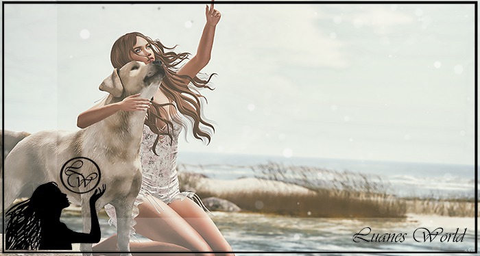 :LW: Bento Poses - Save A Life BOXED