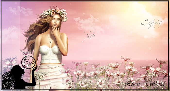 :LW: Bento Poses - Let Me Down Slowly