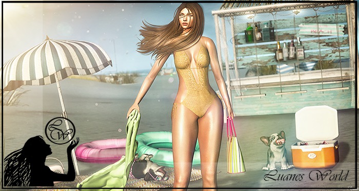 :LW: Bento Poses - Gone In The Sun BOXED