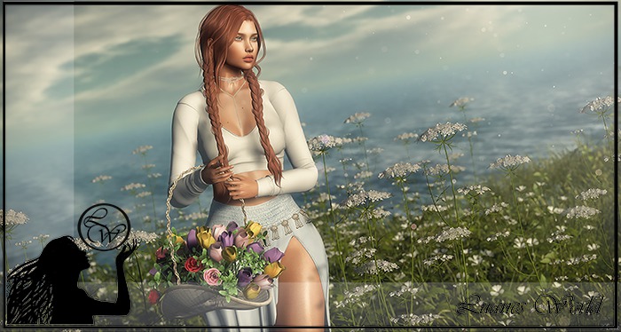 :LW: Bento Poses - True Colors BOXED
