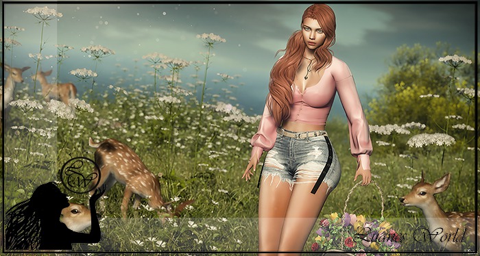 :LW: Bento Poses - Nevermind BOXED