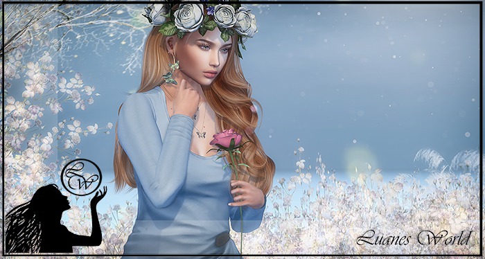 :LW: Bento Poses - All Of Me