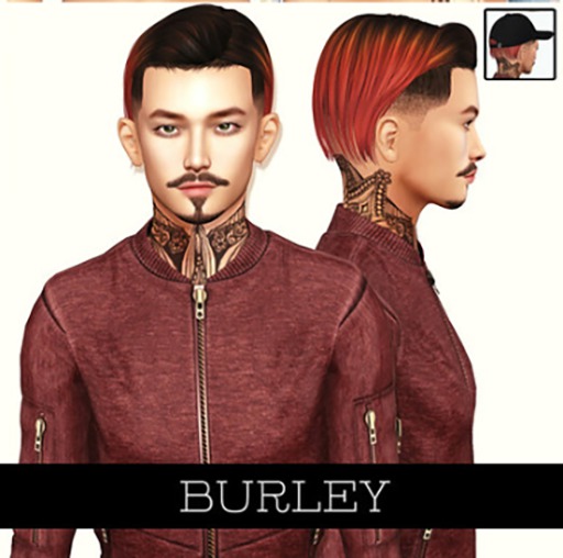 BURLEY - Wang - Fatpack (wear)