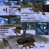 ANIMATED MENU DRIVEN LEOPARDS IN THE BUSH-CRATE