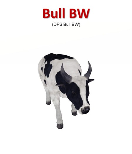 DFS Bull BW (Texture)