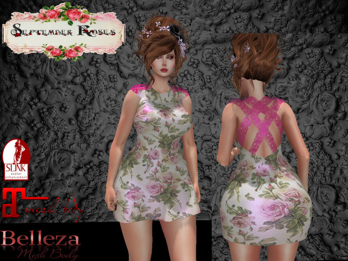 Sweet Roses Mini Dress