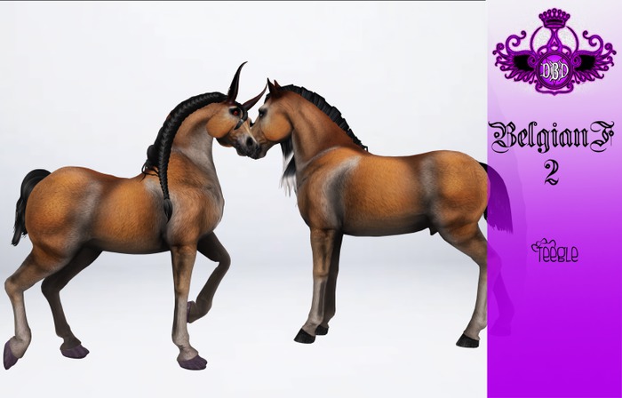 ^^*DBD*^^ Teeglepet/av belgianF