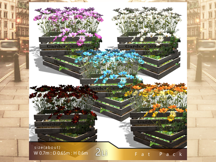 *:..Silvery K..:*Autumn Garden(Box Cosmos)FatPack