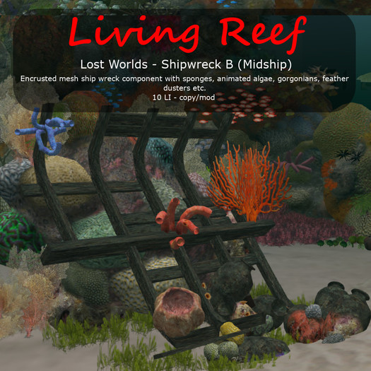 Inochi Reef : Shipwreck B (midship)