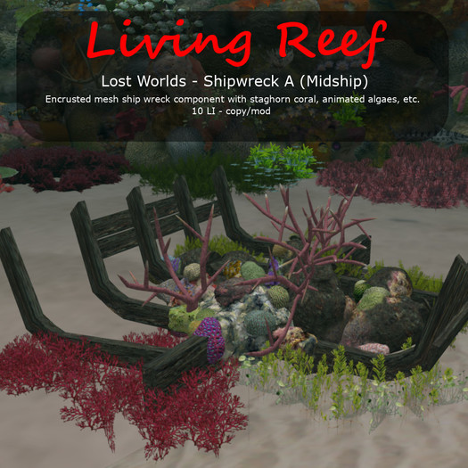 Inochi Reef : Shipwreck A (midship)