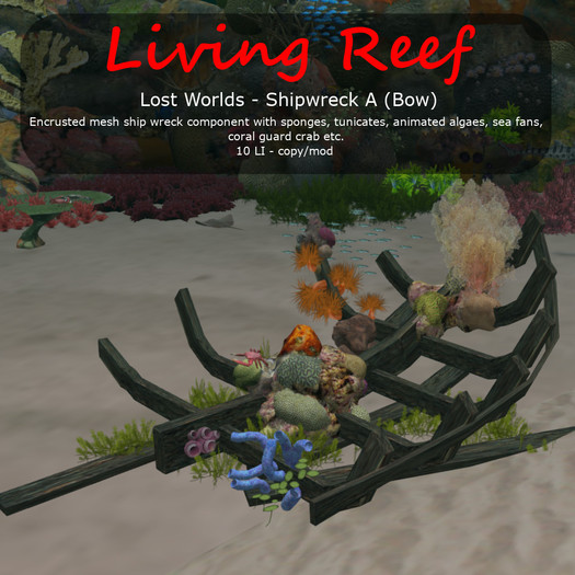 Inochi Reef : Shipwreck A (bow)