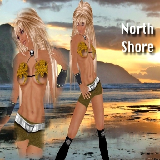 North Shore Yellow full female designer outfit - resell box