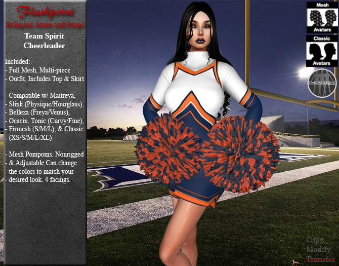 Team Spirit Cheerleader - Denver