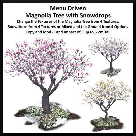Menu Driven Magnolia Tree with Snowdrops