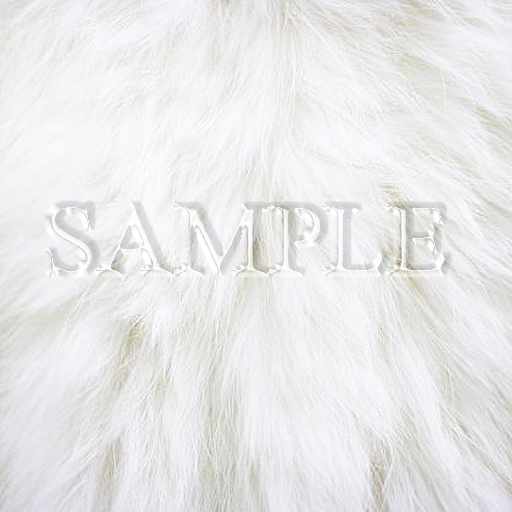 Zoy Texture [ White fur ]