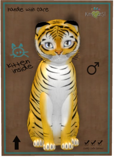 KittyCatS Box - Tiger! - Golden Ticket