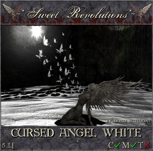 ~*SR*~ Cursed Angel ~ White cm Box