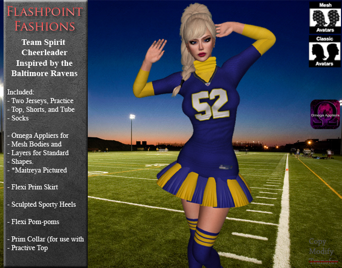 Team Spirit - Baltimore Cheerleader
