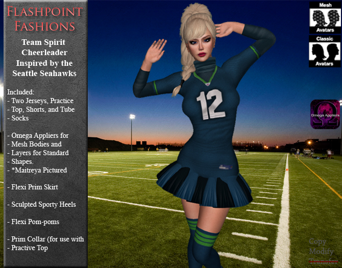 Team Spirit - Seattle Cheerleader