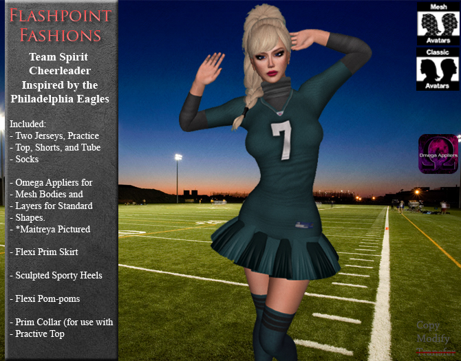 Team Spirit - Philadelphia Cheerleader