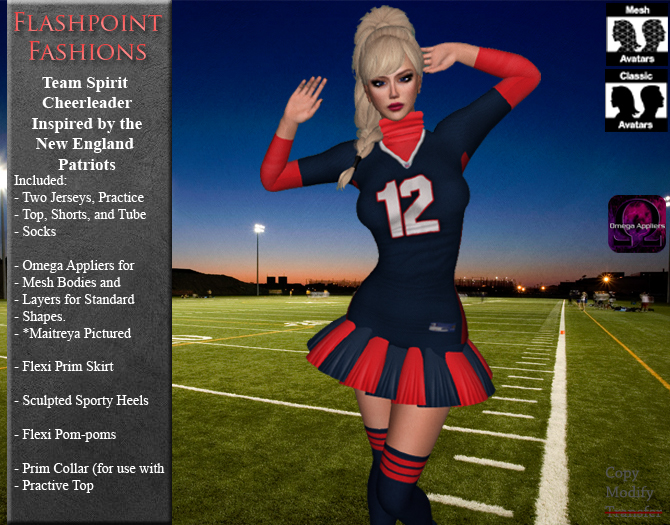 Team Spirit - New England Cheerleader