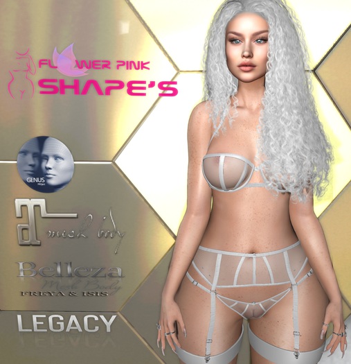 SHAPE MAGNOLIA - GENUS CLASSIC