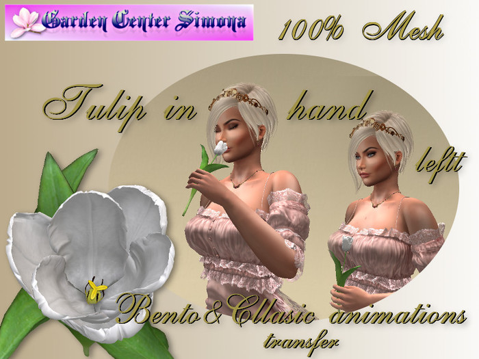 BOX_Tulip in left hand Bento animations, white_001TR_6a