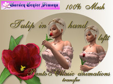 Tulip in left hand Bento&Classic anim., red_001TR_6