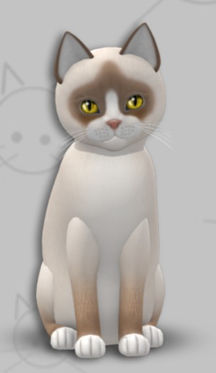KittyCatS Box - Snowshoe Cream/5T/Female/Blush