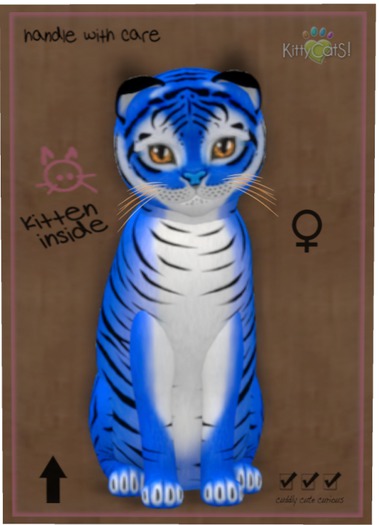 KittyCatS Box - Tiger! - Huckleberry