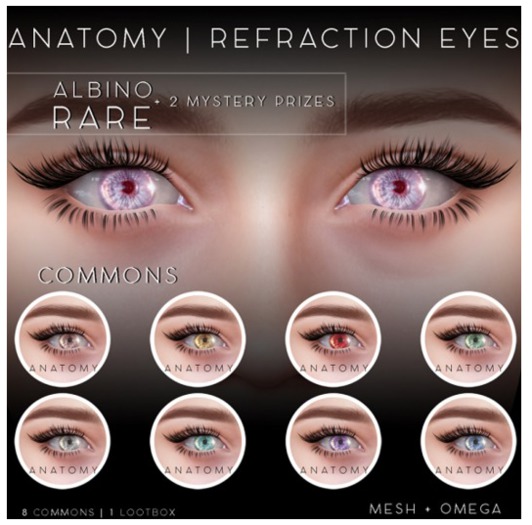 ANATOMY - REFRACTION EYES - COMMON - GREY