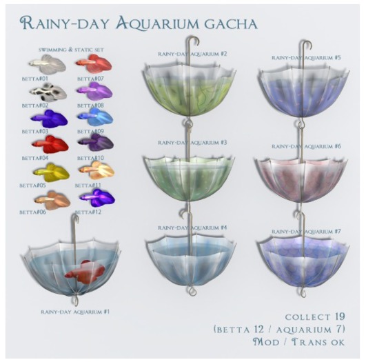 *N*Rainy-Day Aquarium #6<box>
