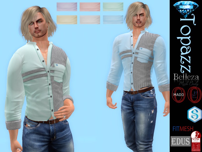 Topazz-TMS001-Tucked in striped shirt