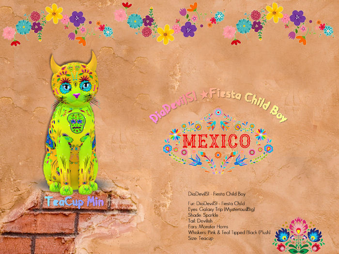 KittyCatS Box - DiaDevilS! - Fiesta Child Boy - TeaCup MIN