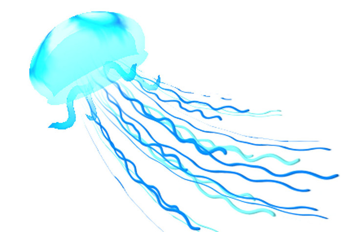 (7S) Uncommon Fish: Blue Jellyfish
