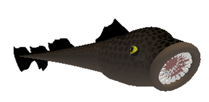 (7S) Uncommon Fish: Brown Lamprey