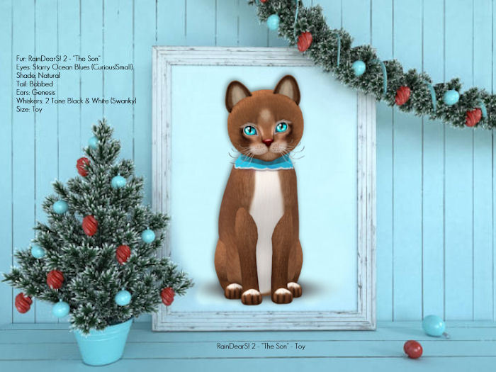 KittyCatS Box - RainDearS! 2 Special: "The Son" - Toy MIN - Win