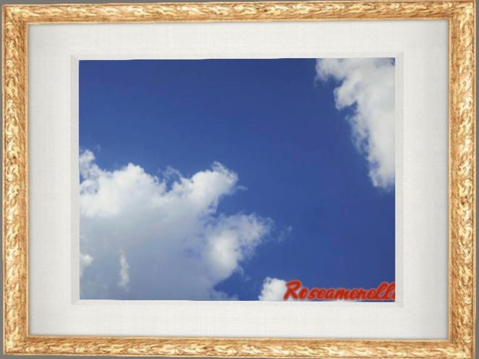 Summer Blue Skies In Frame