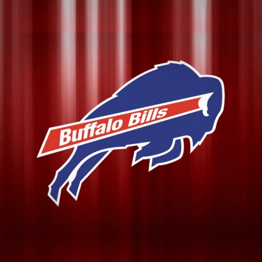 Team Fan Rug w/logo #14