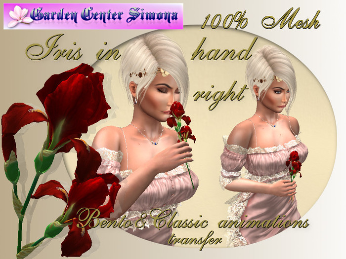Iris in hand, Bento anim., red_001_4
