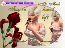 Iris in L hand, Bento&Classic anim., red_001_4