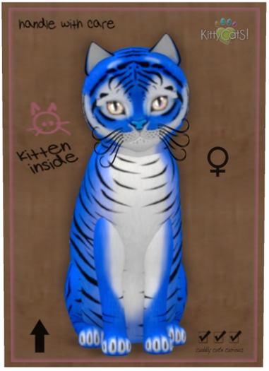 KittyCatS Box - Tiger! - Huckleberry