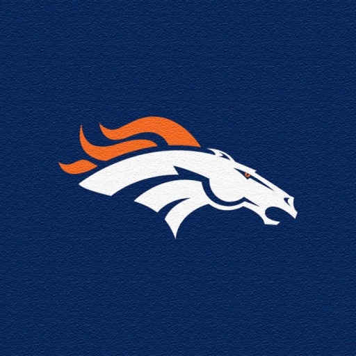 Team Rug-#25 w/logo