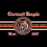 Team Rug-#26 w/logo