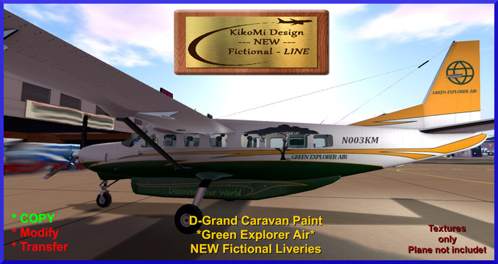 D-Grand Caravan*Explorer Air*