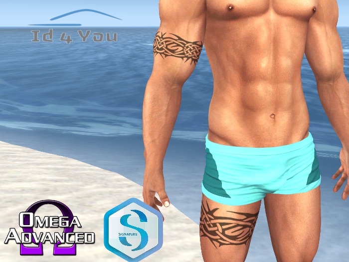[Id4You] Tattoo Applier - ArmLeg 21-C (Omega-Signature)