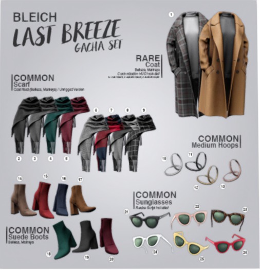 11. Bleich - Last Breeze - Medium Hoops Black